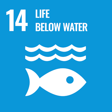 UN sustainable development goal 14 - Life below water