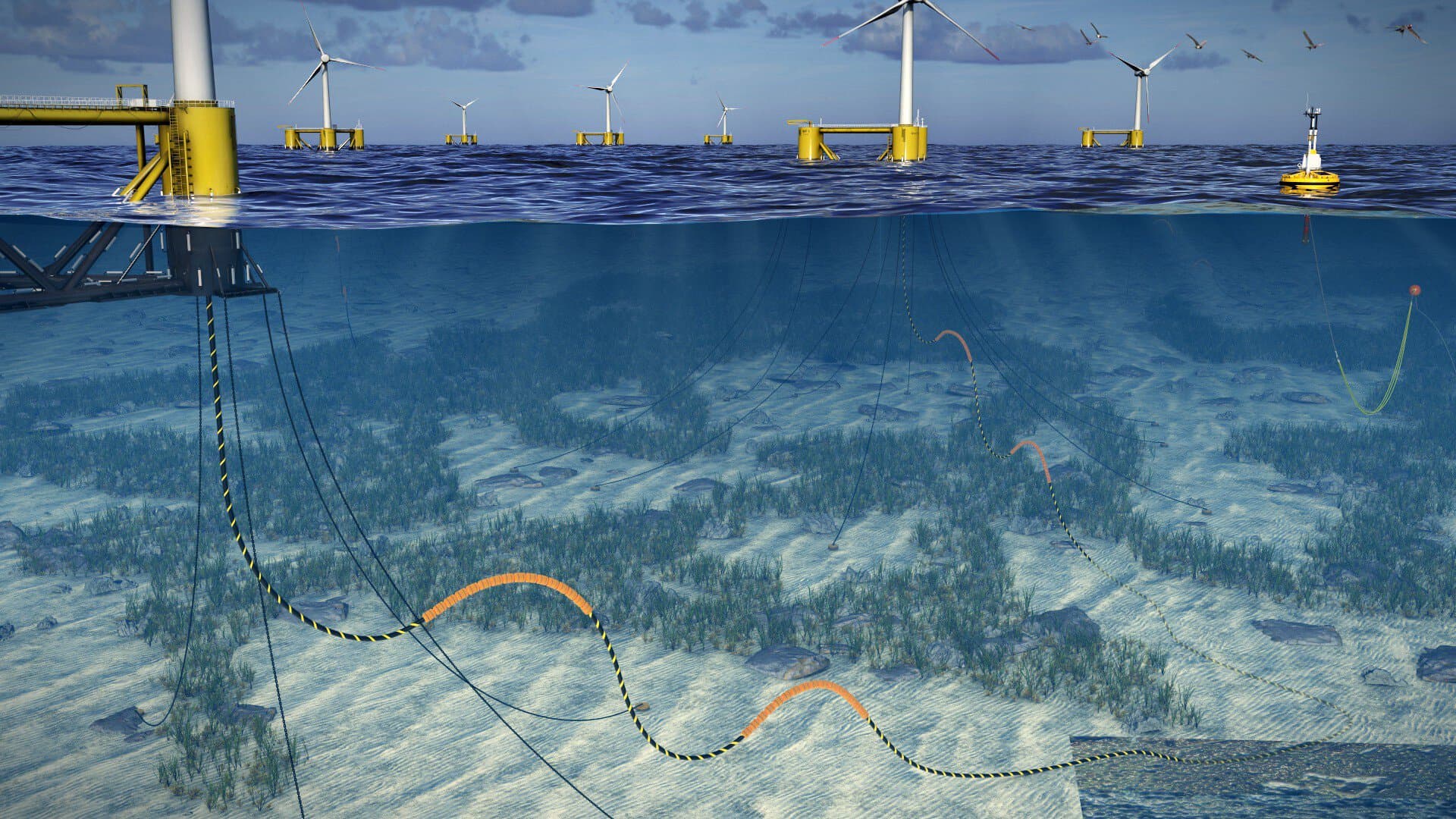 Floating wind farm graphic