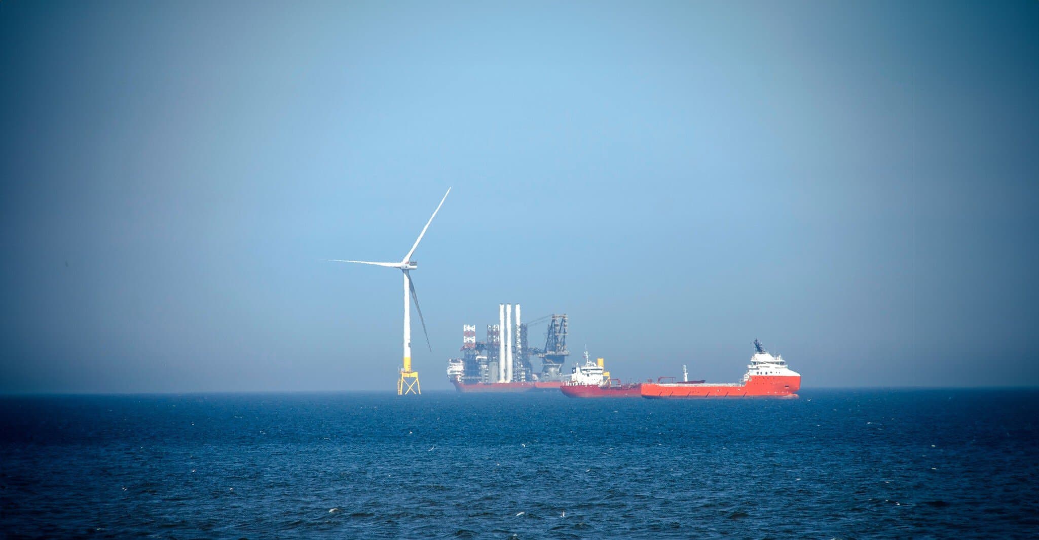 Seastar image for website