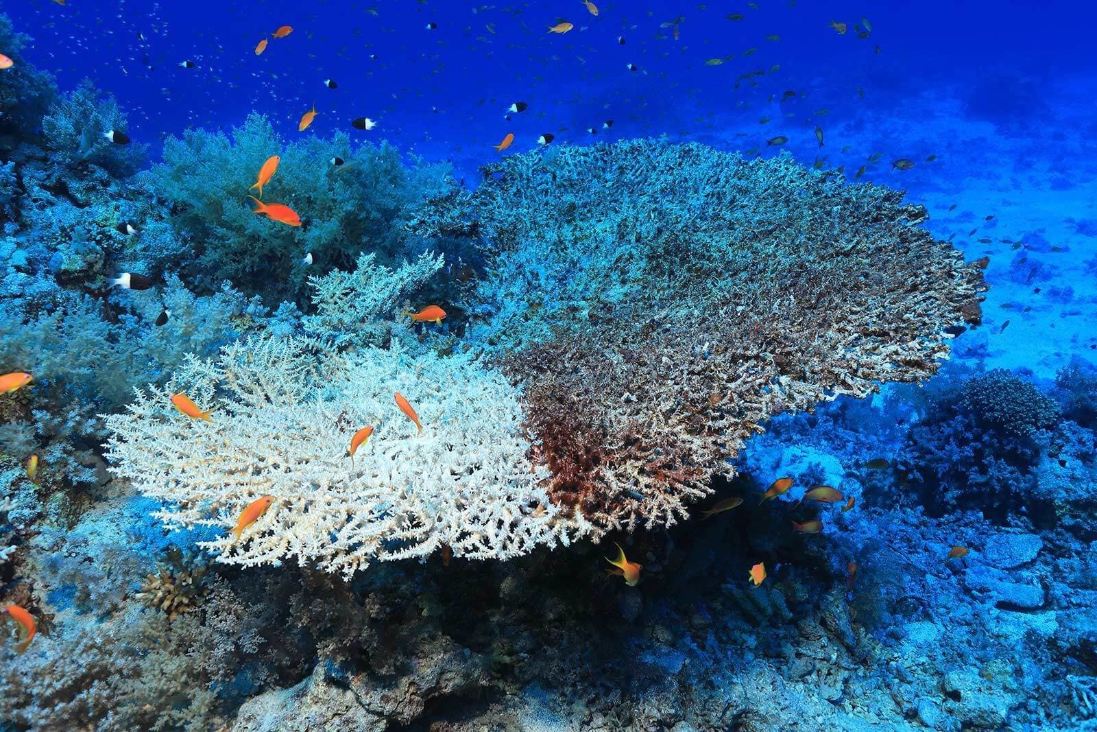 Fugro World images for Fugro.com