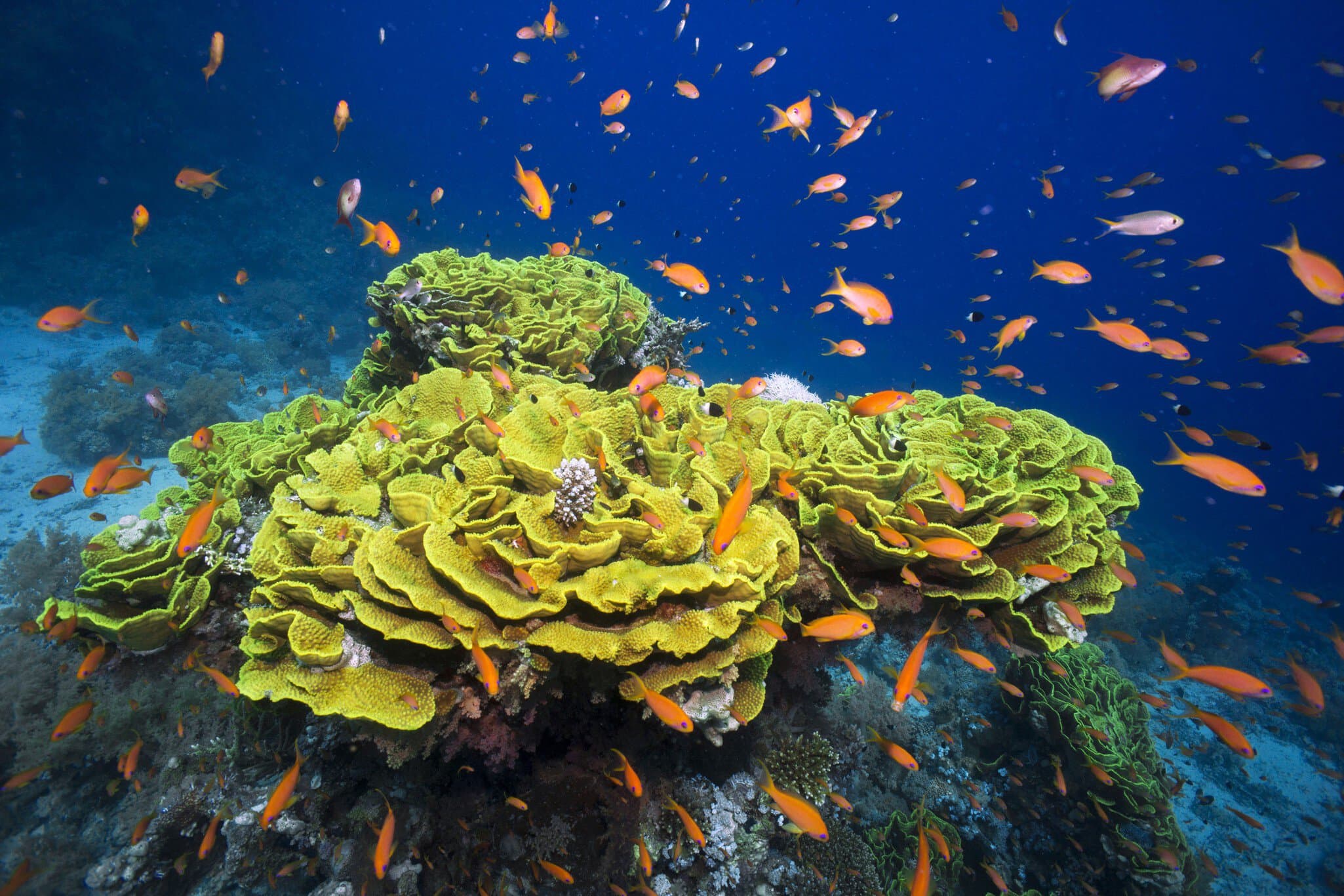 Ocean Agency image bank