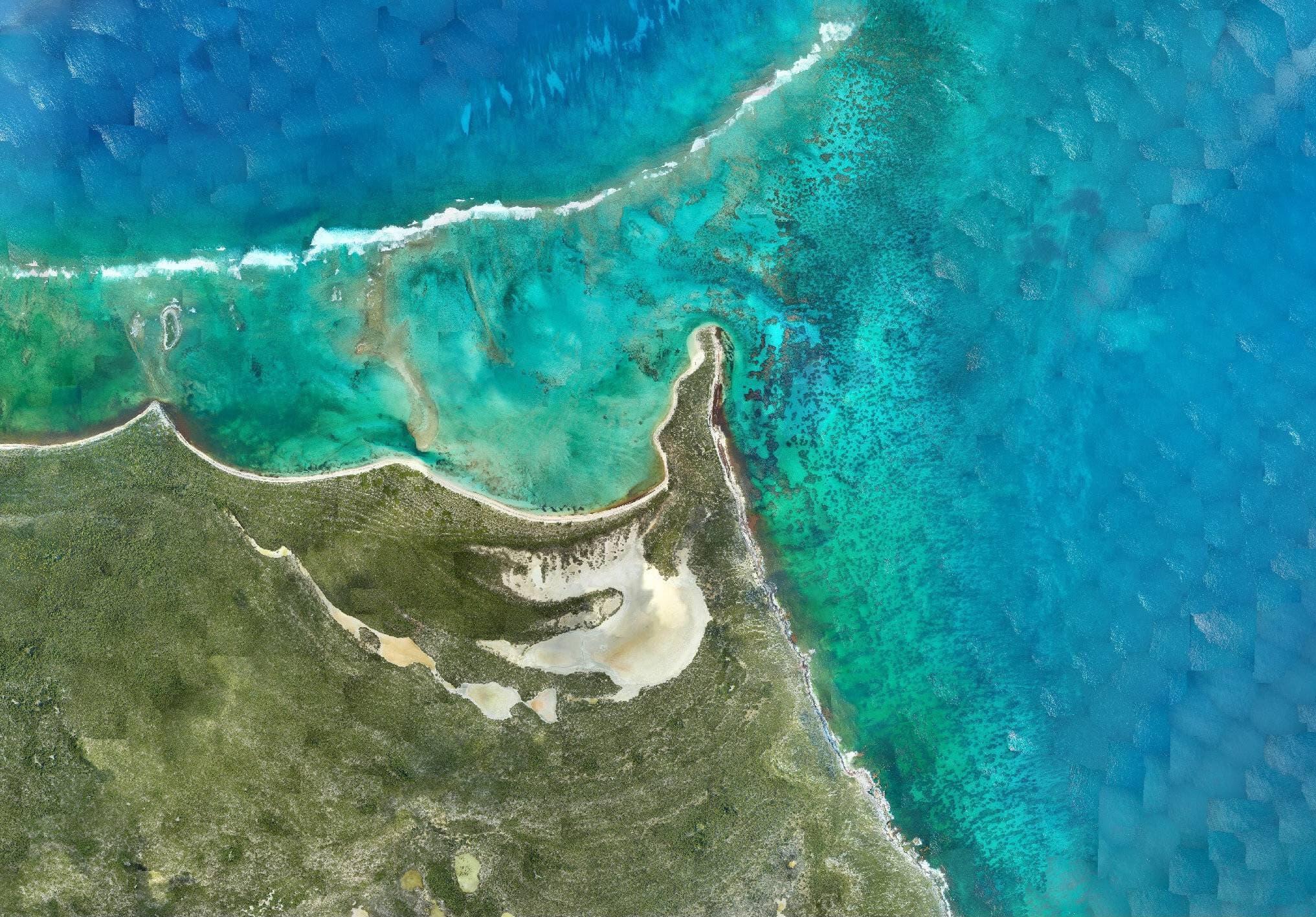 RAMMS collected imagery of coral transition on project location collected during field trials in the Caribbean