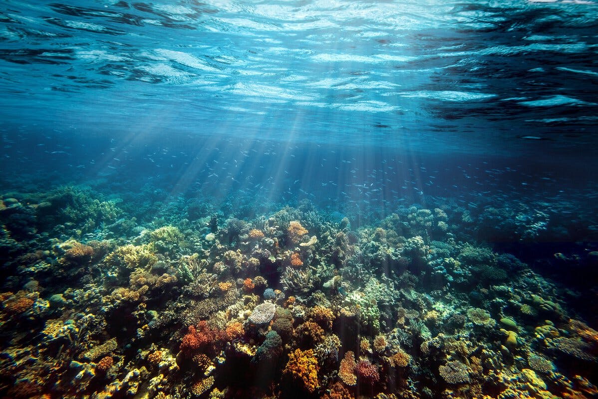 Ocean decade image for website